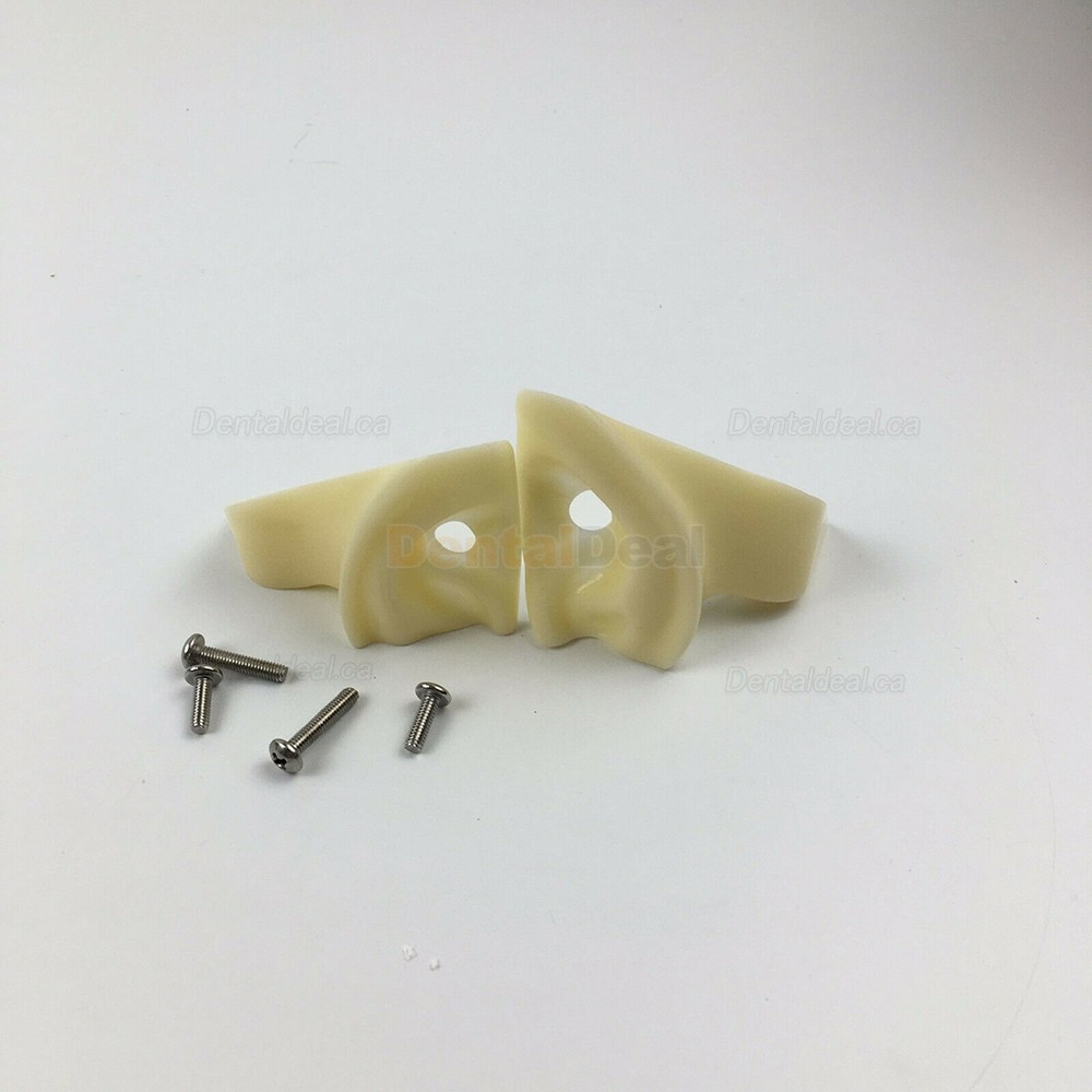 Jingle JG-C1 Clamp Type Dental Phantom Head Simulator Compatible with Nissin Kilgore/Frasaco